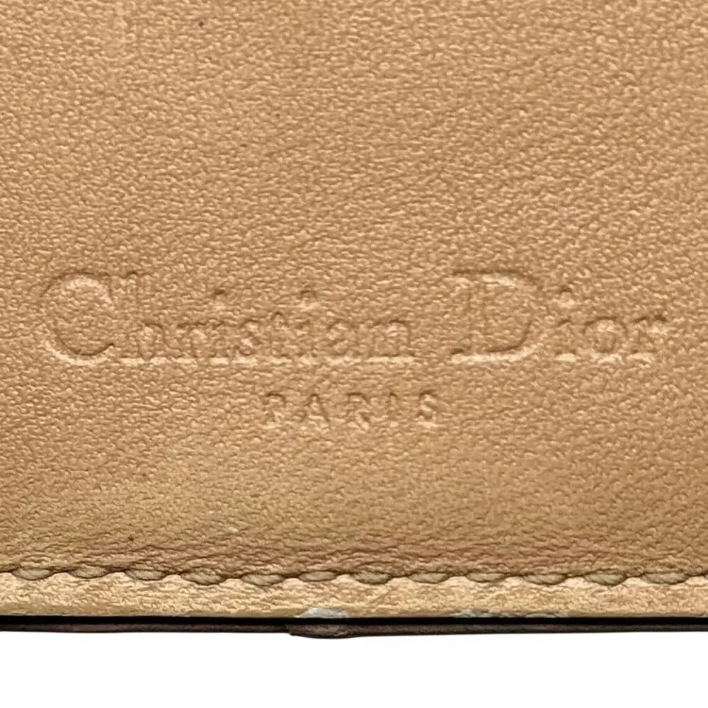 Dior beautiful canvas